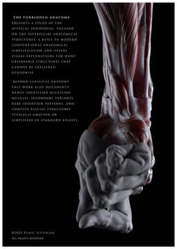 THE FORBIDDEN ANATOMY