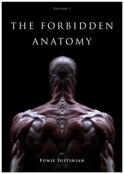 THE FORBIDDEN ANATOMY